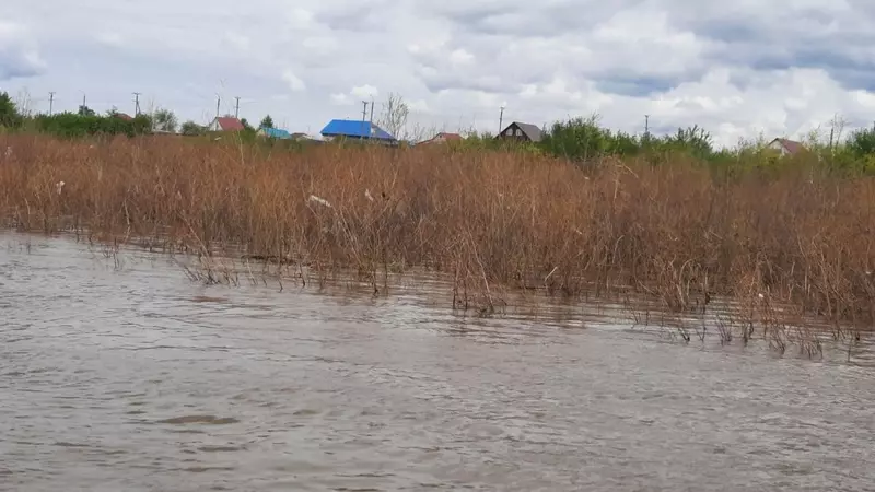 В Уфе больше месяца ищут пропавших у реки подростков